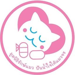มูลนิธิรักษ์แมว ปันน้ำใจให้แมวจร